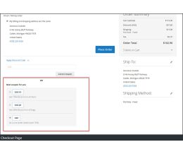 Checkout page - coupon assistance