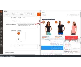 Custom CSS for Label Text - Backend label edit