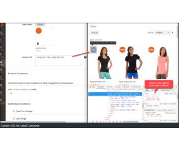 Custom CSS for Label Container - Backend label edit